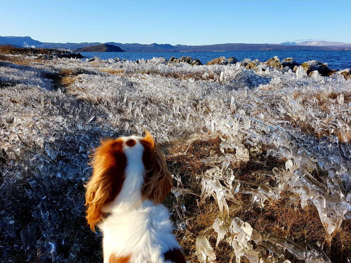Thingvellir Lake Cottage Veithilundur Eksteriør billede